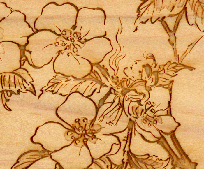 実際のコースターUP